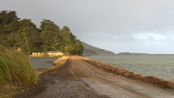 Allans beach, Dunedin peninsula. Just like on the rest of this road, we were hoping we didn't meet any other cars.