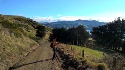 Road to Larnach castle