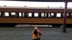 Capturing a photo of the train before the ride
