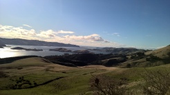 Peninsula and bay from track to Larnach castle