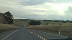 Road from Gore to Dunedin with a glimpse of the rolling hills.