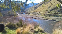 along the ride up the Taieri gorge