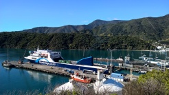 Ferry unloading at Picton marina