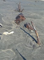 remnants of shipwreck