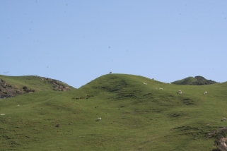 hills at Cape Farewell