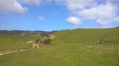 Green hills at Cape Farewell