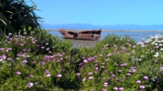 Shipwreck, Motueka