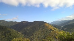View from Tirohanga hill