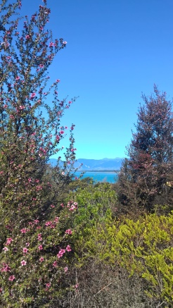 walkway to lookout over Tasman bay