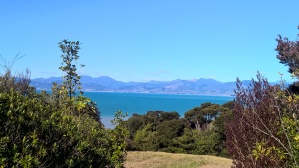 vacant lot for sale overlooking Tasman sea