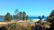 View of Apple Tree bay from Abel Tasman coastal walkway