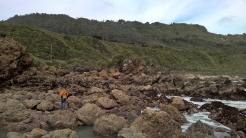 Exploring rocks at low tide, looking back toward where the bach is located.