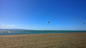 kite surfers at Tahunanui beach