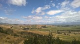 View from Wither HIlls walkway, Blenheim.