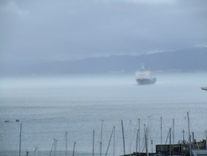 Watching ferry arrive from Wellington harbor