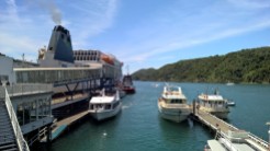 Boarding ferry to Wellington