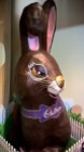 Cadbury bunny