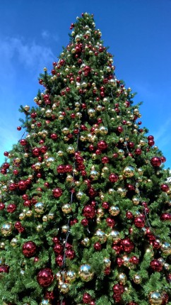 Blenheim Christmas tree