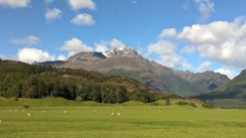 "Hollywood" of New Zealand enroute to Glenorchy