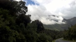 Haast pass to west coast (3)