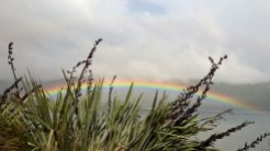 Rainbow over Lake TeAnau from Bird Sanctuary