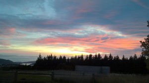Sunrise from house in Dunedin
